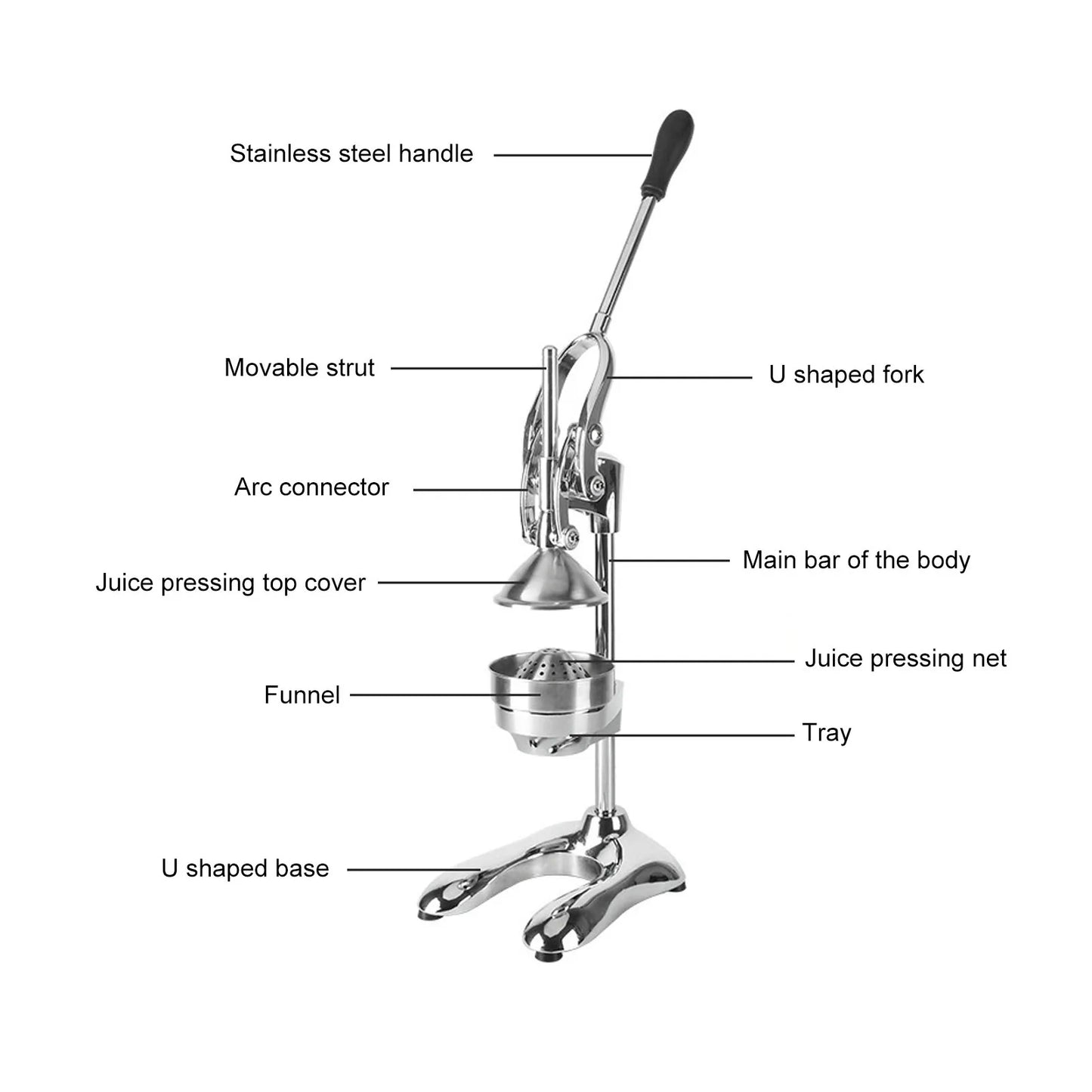 Stainless Steel Citrus Press